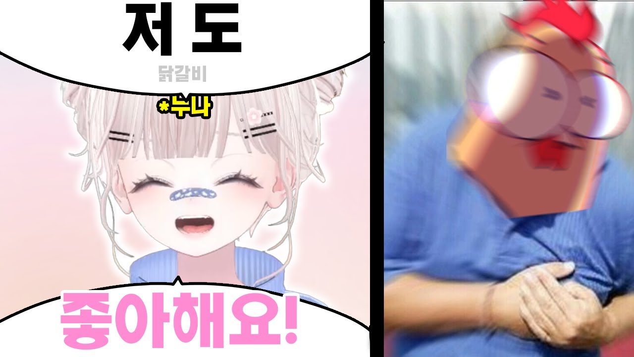 랜덤스트리머대회에서 누나스트리머찾기