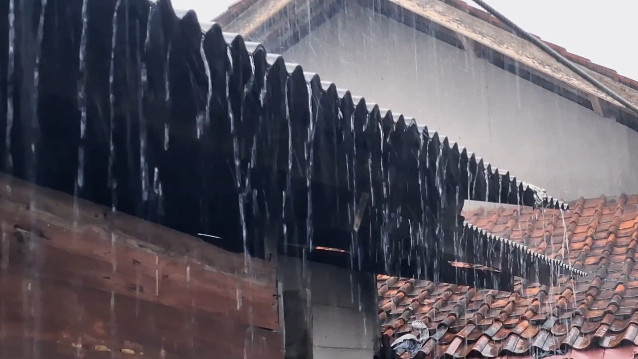 LIVE Rain Sounds for Sleeping 🌧️ Heavy Tropical Rain on Roof | Deep Sleep All Night