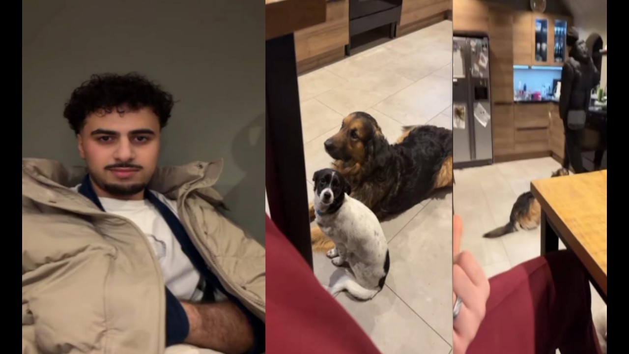 لايف عيسى سوريا مشاهير تيك توك