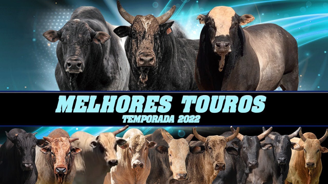 OS 12 MELHORES TOUROS DO BRASIL | TEMPORADA 2022