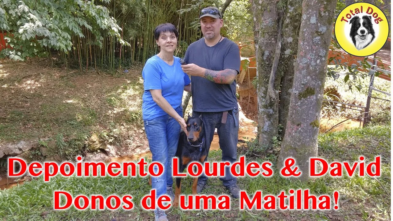 Depoimento Lourdes e David donos de uma matilha de dobermans!