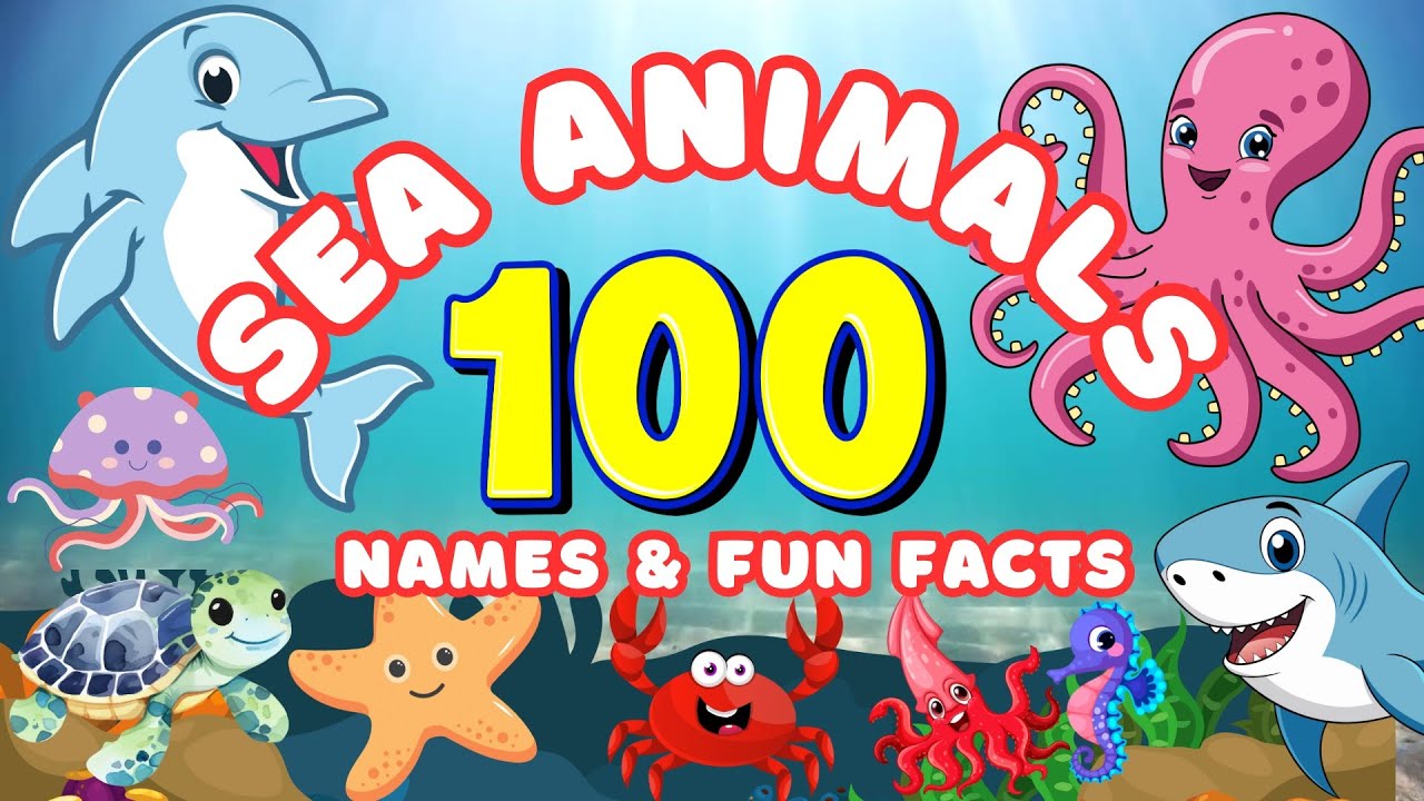 100 SEA ANIMALS  + Fun Facts for Kids | Fun Educational Video for Kids & Toddlers