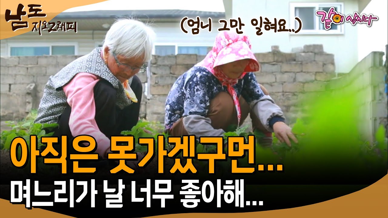 [남도지오그래피] 아들 떠나고서 못 살거 같더니..아직은 못가겠구먼...며느리가 날 너무 좋아해...| KBS 2017.06.01,