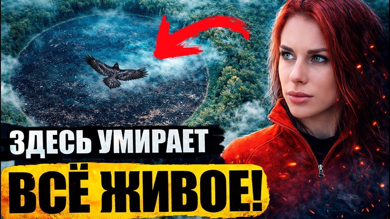 Чертова Поляна: что скрывает самое страшное место России в Сибири?