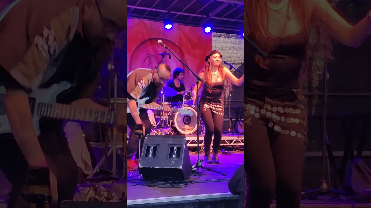 Los Kamer ~ Chickenstock Festival 2025  #livemusic #festival