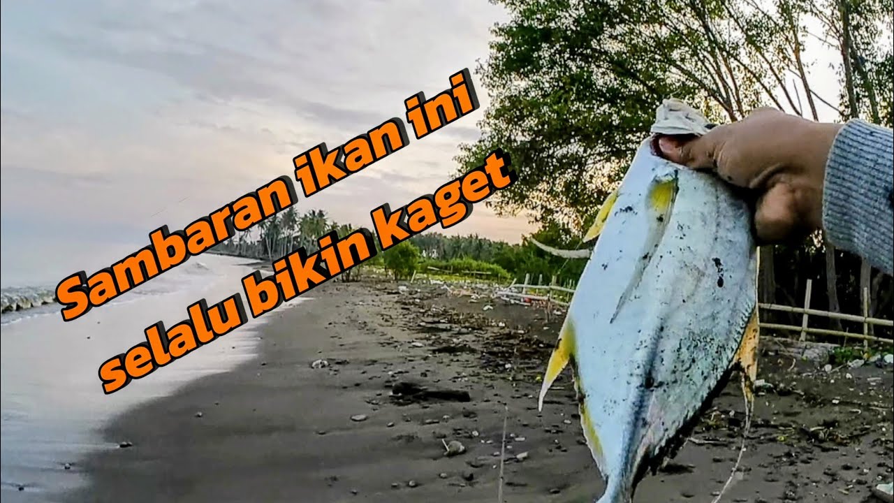 Mancing pinggiran pakai micro jig 7 gram, dapat sambaran brutal