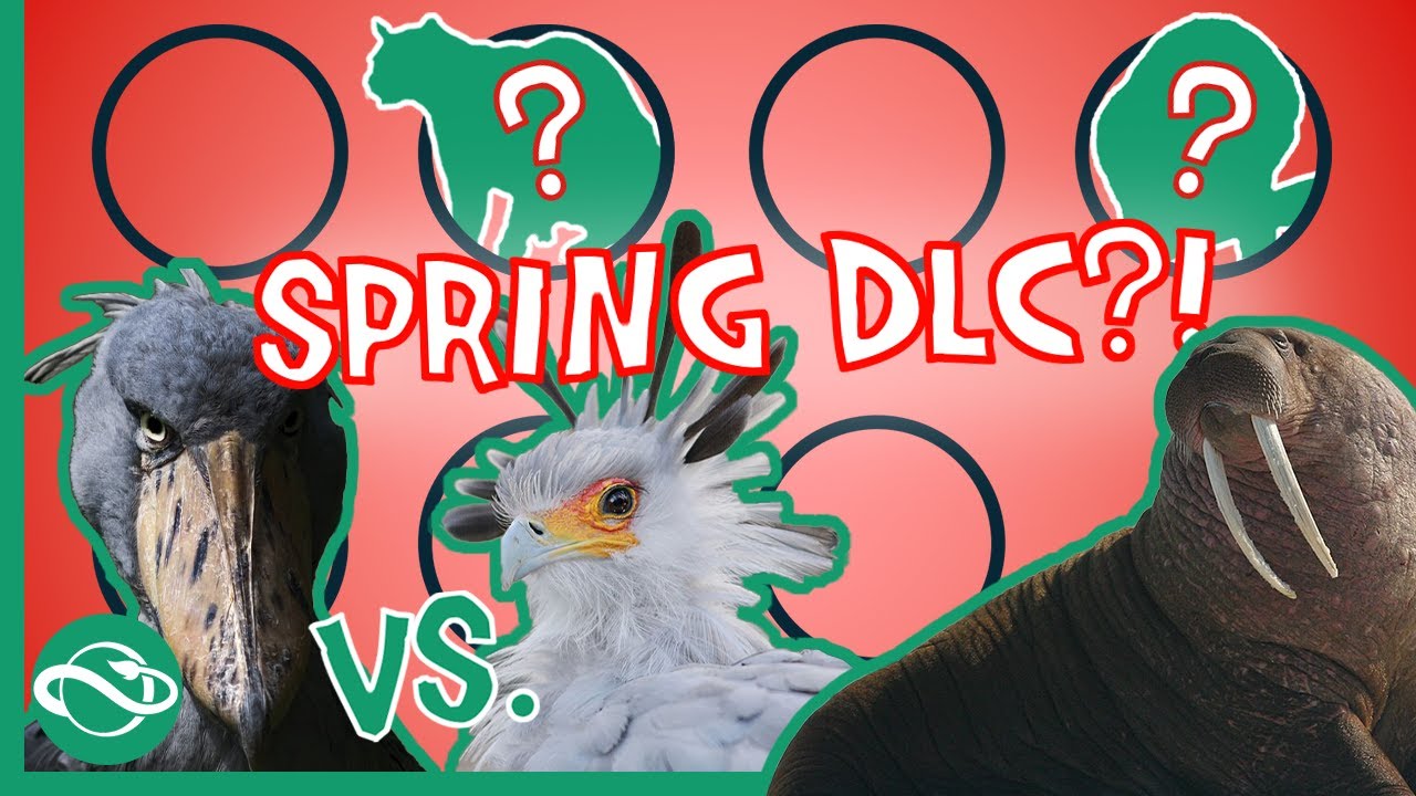 🔥ANIMALS in SPRING DLC?! | PLANET ZOO DLC SPECULATIONS + Console DLC & Planet Coaster 2