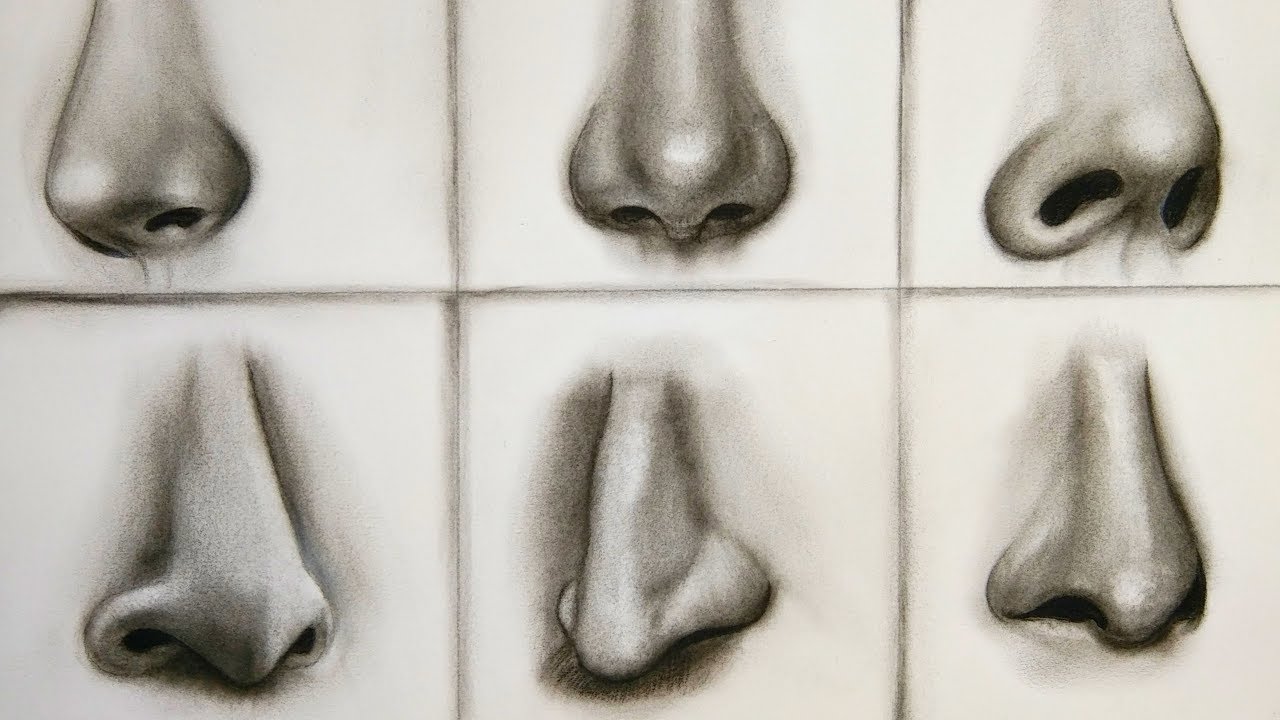 6 Noses Realistic Drawing | Front View and Side View Tutorial | Nose drawing Step by Step