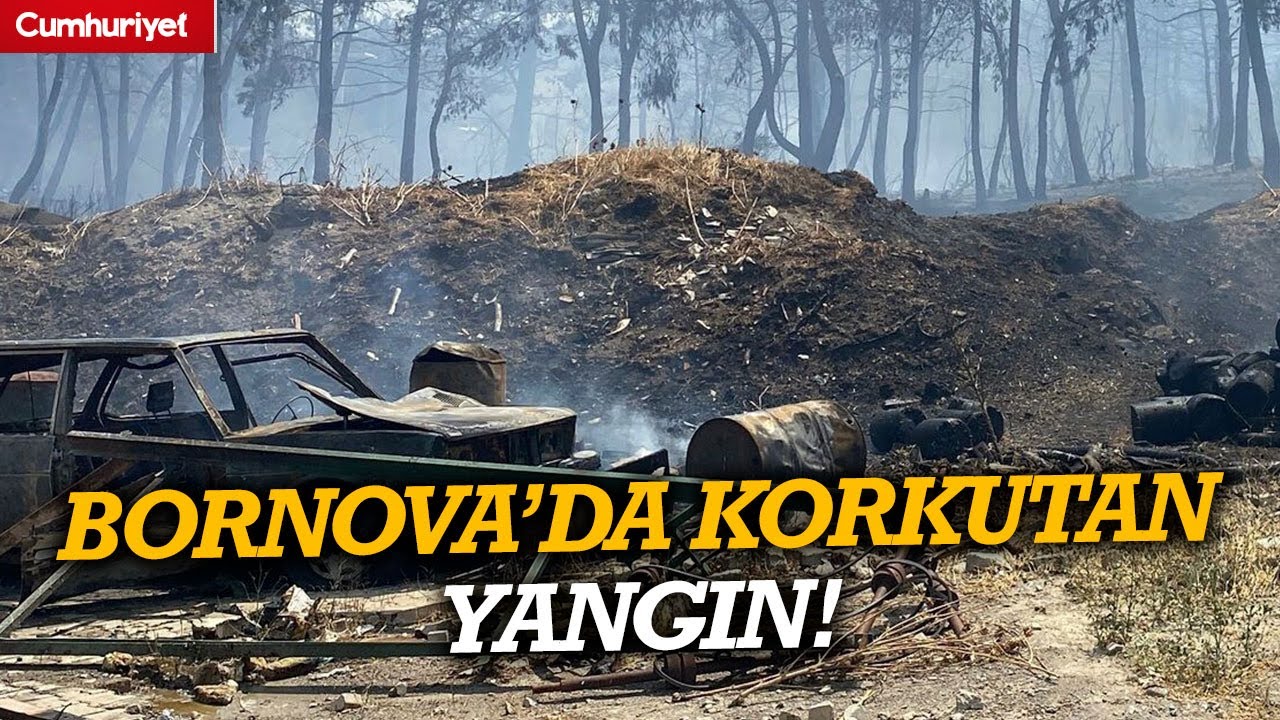Bornova ve Buca’da orman yangını... Bornova Belediye Başkanı Eşki'den açıklama