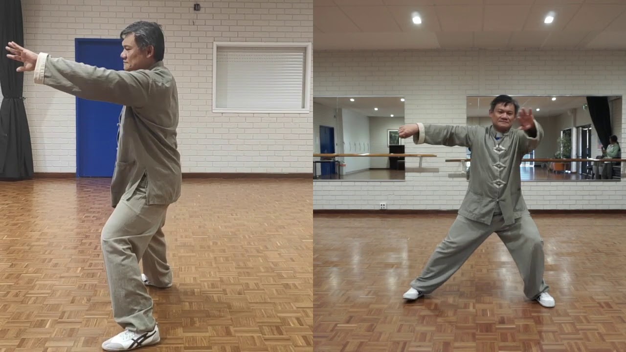 Tian Cai Chen Tai Chi 13 Postures - Chen Tai Chi (Perth)