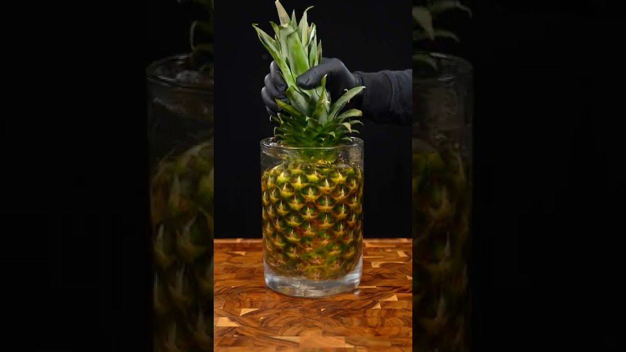 𝗠𝗲𝘅𝗶𝗰𝗮𝗻 𝗧𝗲𝗽𝗮𝗰𝗵𝗮 Recipe 🍍✨ | Refreshing Fermented Pineapple Drink #shorts