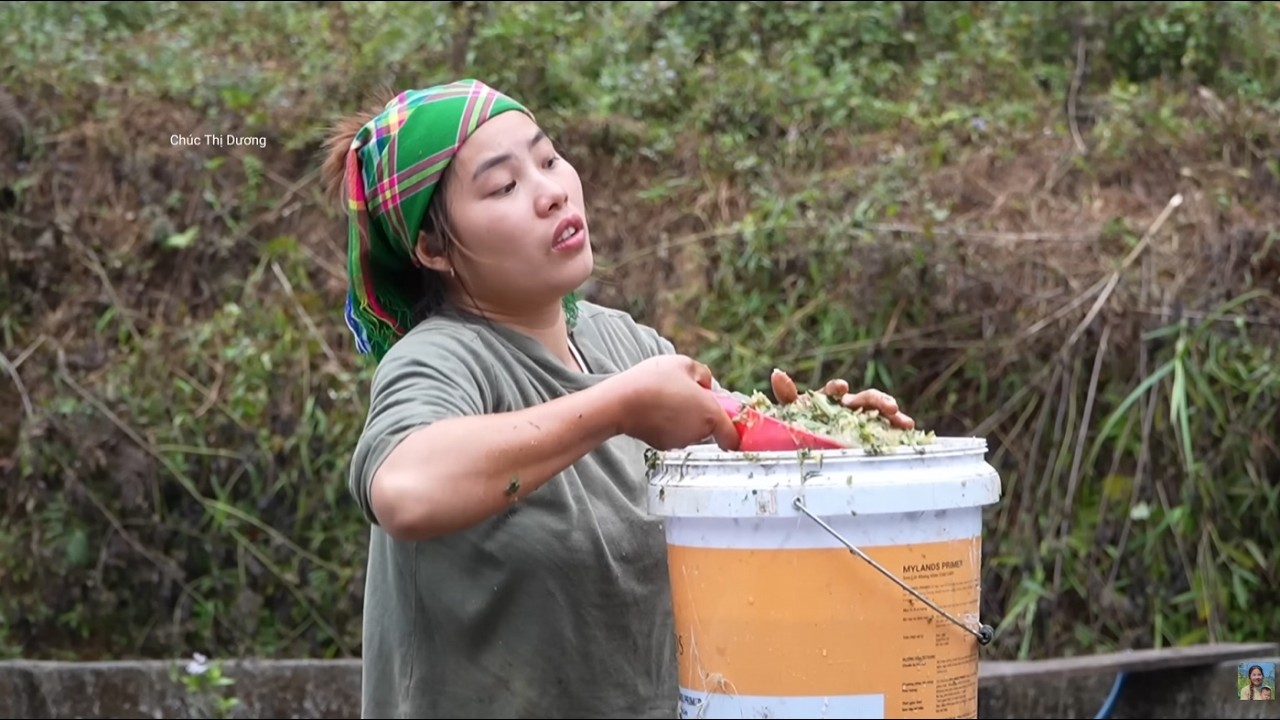 Harvesting Giant Mountain Yams with My Daughter and Son – Selling at the Market