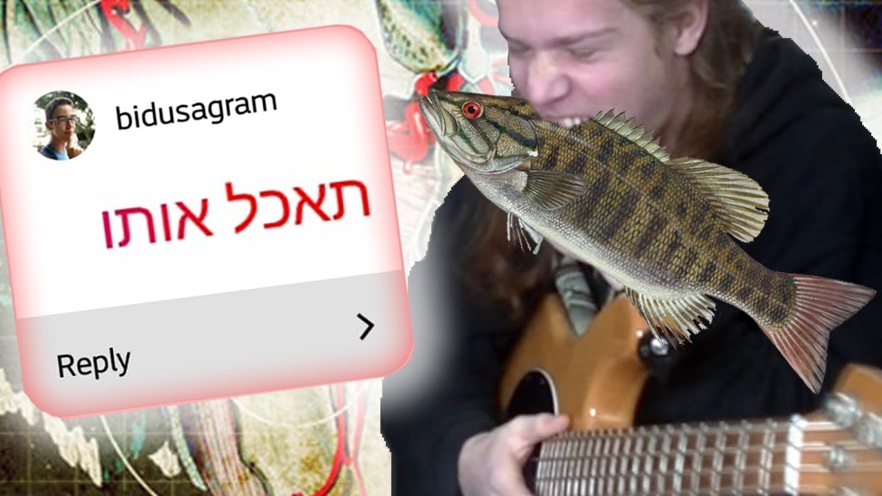 »»»מנגן על בס 6«««