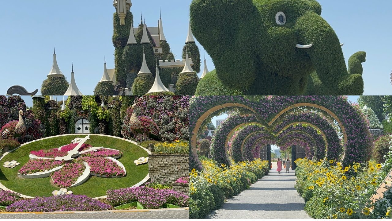 Miracle Garden Dubai 2024 || The World's Biggest Natural Flower Garden Walking Tour 4K