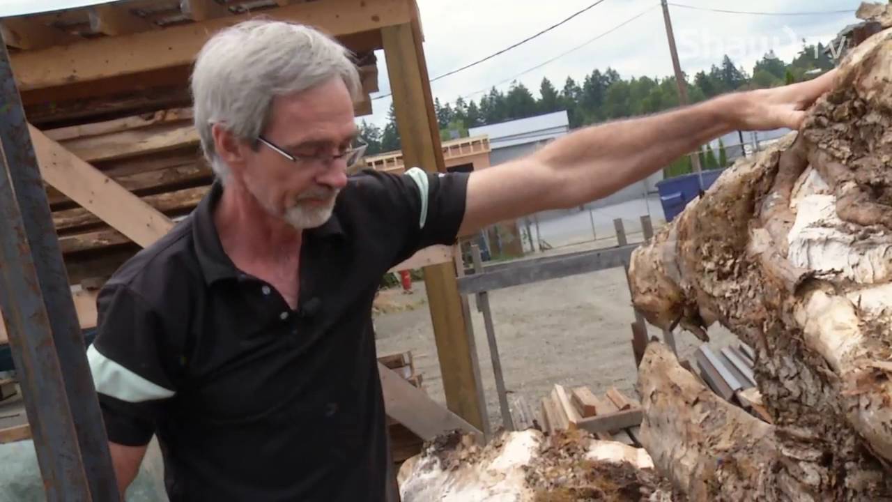 Live Edge Art Mirrors