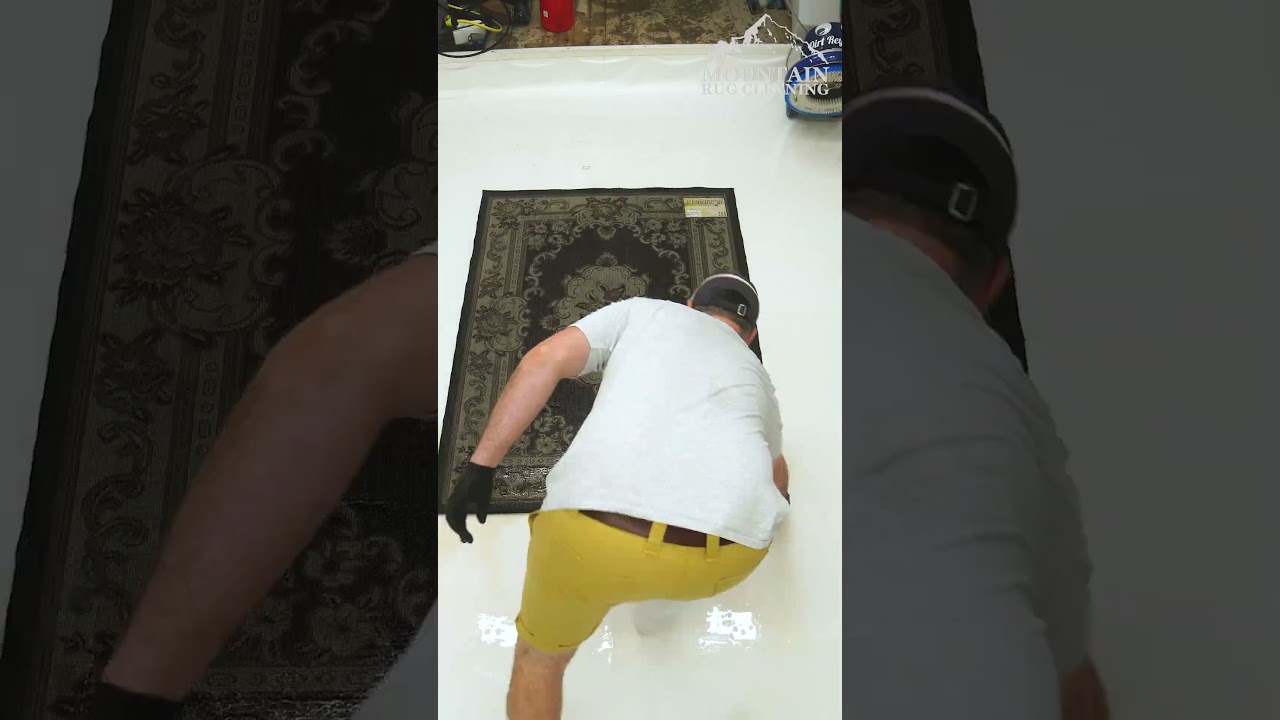 Powerful URINE Smell From This Soaked & Discarded Rug! Do You Think I Can Save This One? #shorts