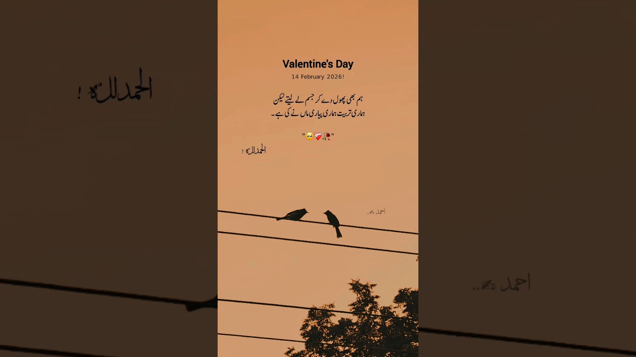 Valentine's Day 14 February 2026 🤌🏻💐🫀 | Aesthetic | Whatsapp Status Video #shortsfeed #viral #status
