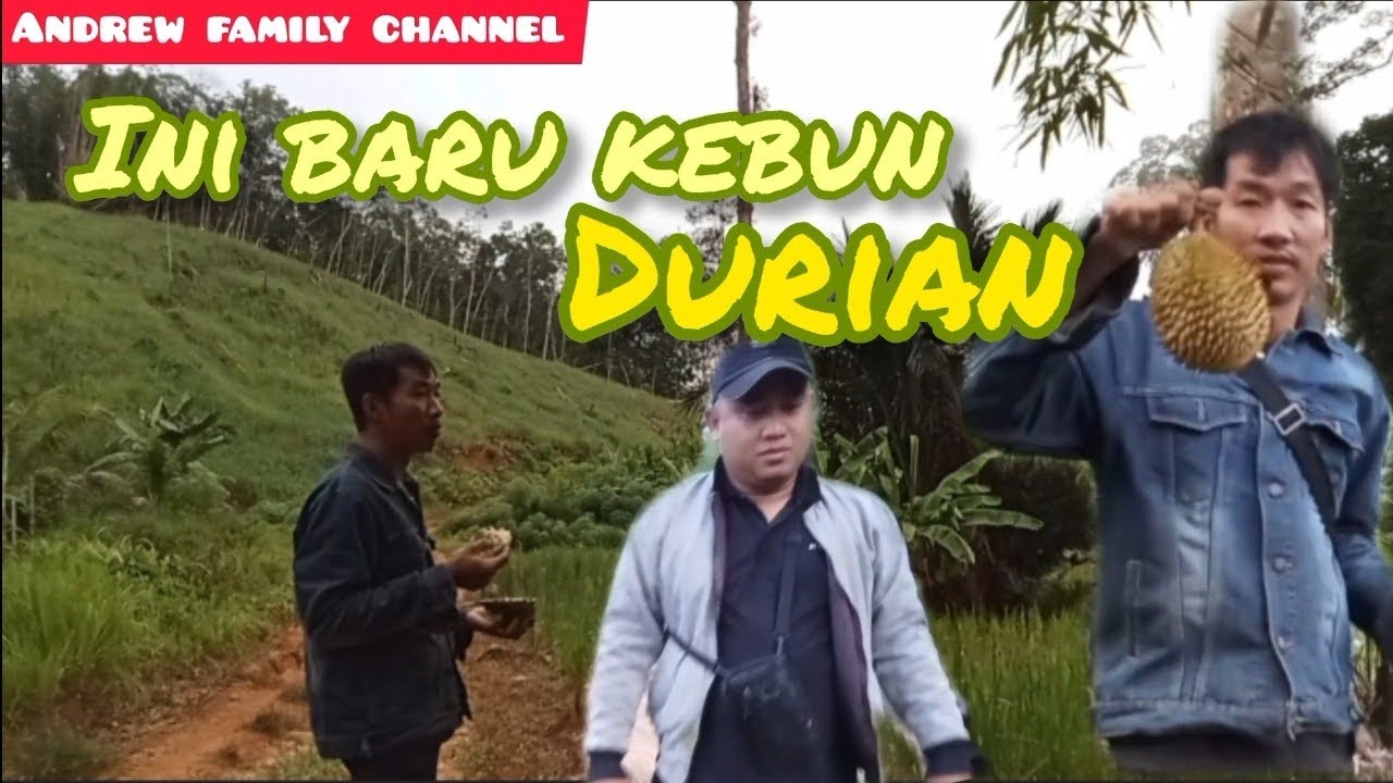 PERJALANAN PULANG KE SINTANG DAN SEKALIAN SINGGAH KE KEBUN DURIAN