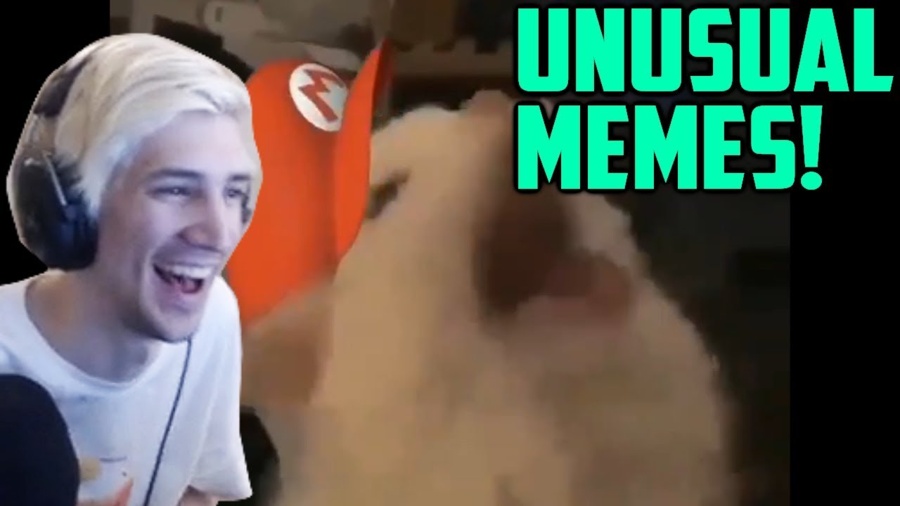 xQc Reacts to UNUSUAL MEMES COMPILATION V57 with Chat! | xQcOW