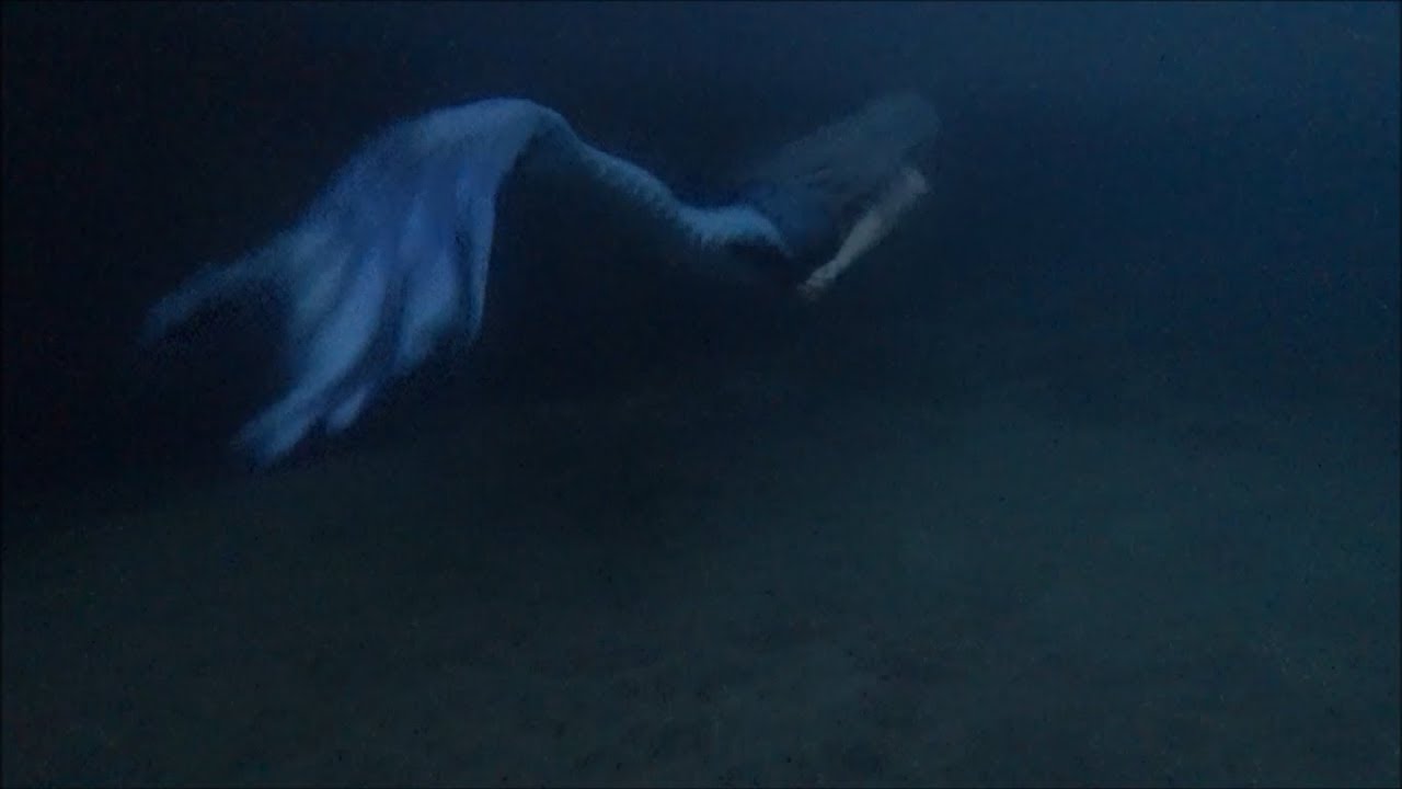 SIRENS SWIMMING UNDERWATER: Goth Mermaid swims in Lake Michigan at Night! | The Magic Crafter Videos