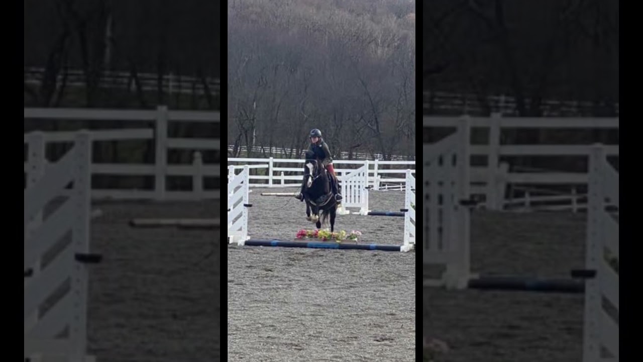 5yo me at my old hunter jumper barn 🙂