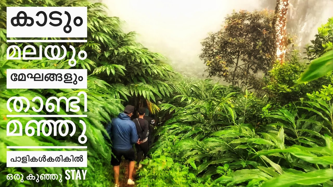മുന്നാറിലൊരു കിടിലൻ Tent  Stay | Calliope Tent Camping Munnar