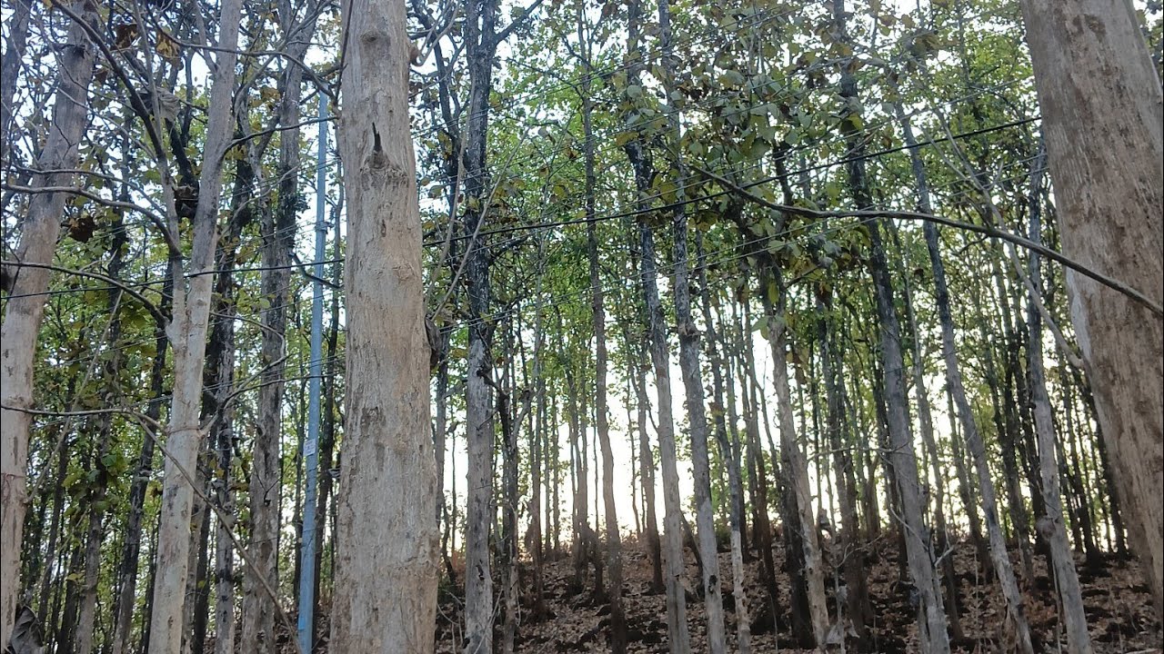 Ghulam Bashah Sundri Episode 21 (Subtitle) 19 March 2026 | Digitally Presented By Brighto Paints