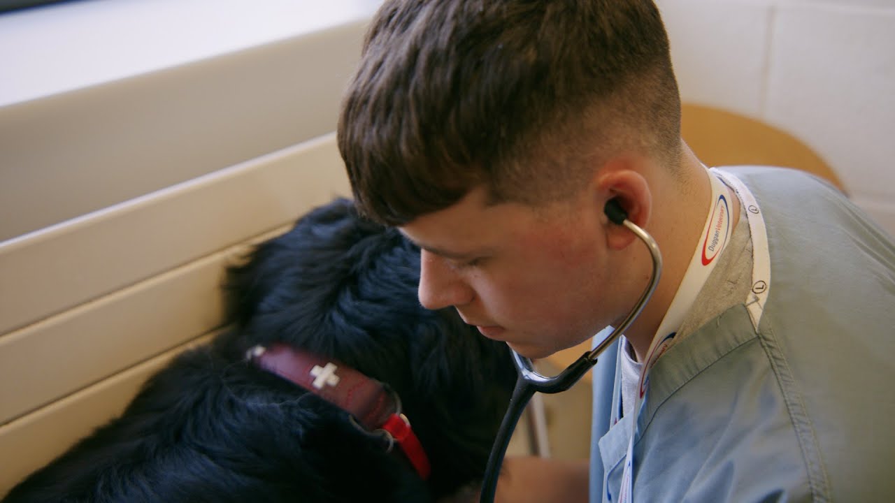 Veterinary student with #WorkReadySkills