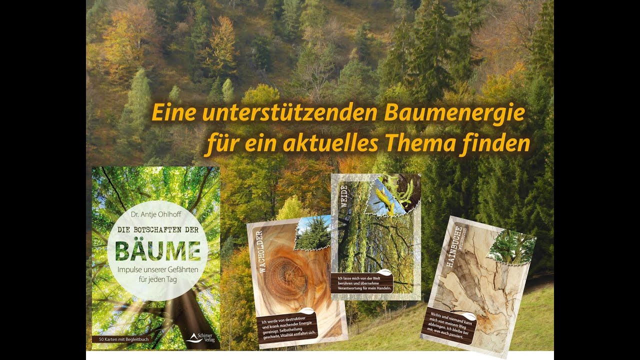 Baummedizin: eine unterst&uuml;tzende Baumenergie f&uuml;r ein aktuelles Thema finden