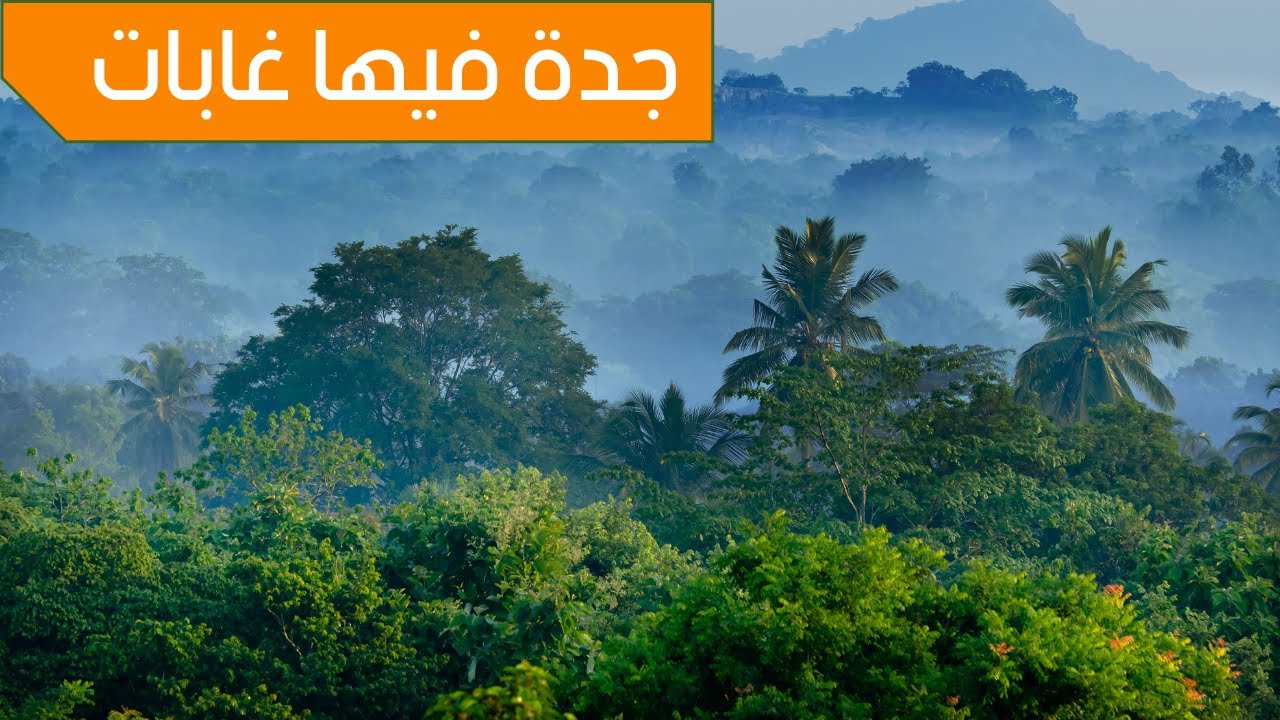 وقت البر قبل رمضان في الغابة الشرقية جدة وانكسر زجاج السيارة | غابة صناعية