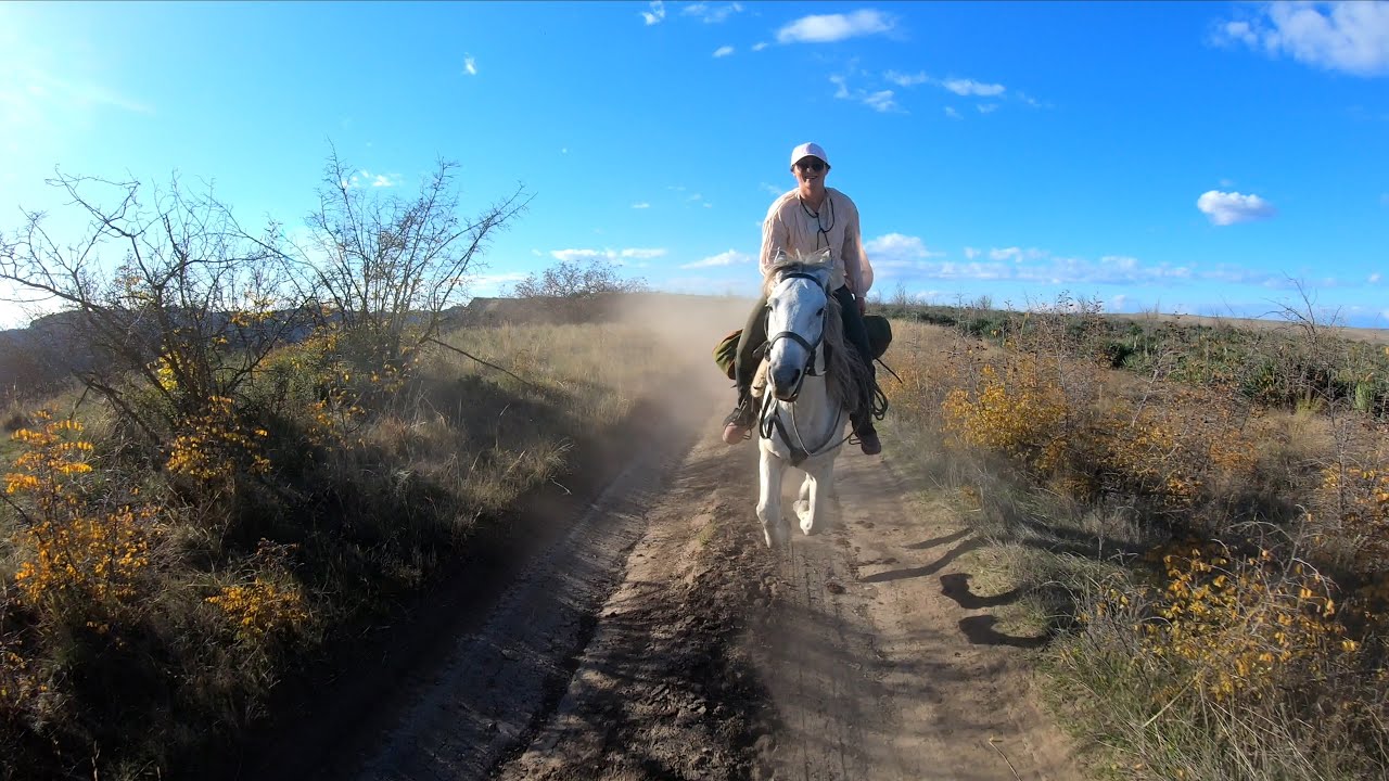 Flashback from horseback trail riding in Vashlovani National Park Georgia