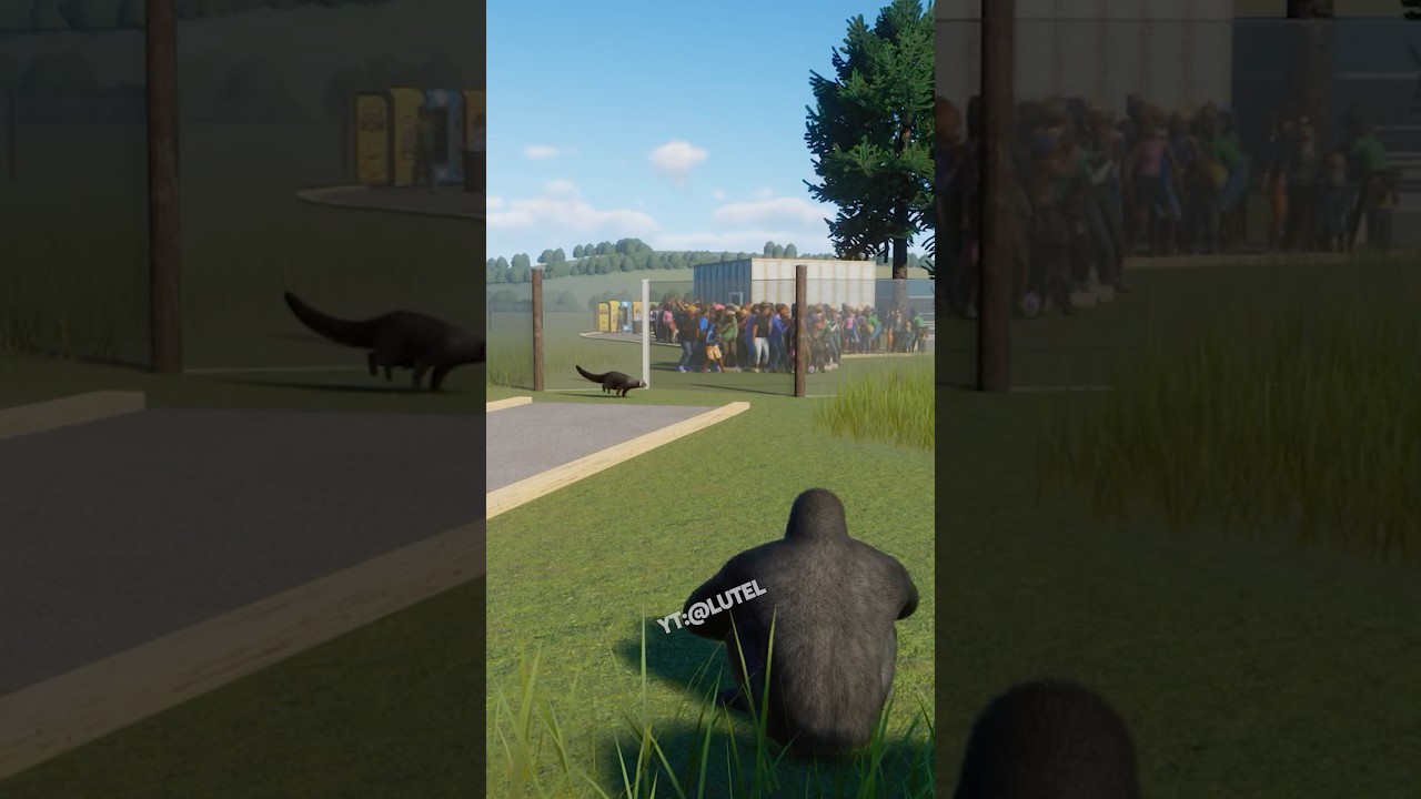 W tym zoo przetrzymują ludzi!