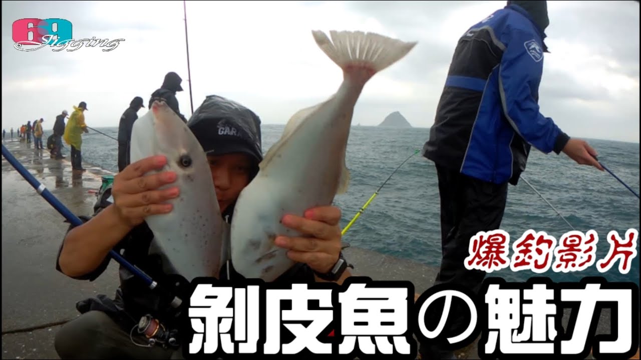 [磯釣沉底] 剝皮魚大咬啦...怎麼才會釣的好??讓我們來解秘!!重拾磯釣魂篇 2020/10/台灣69J釣魚俱樂部(69J Fishing Club)