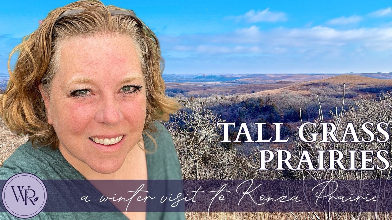 Winter Silence at Konza Prairie | Cinematic January Views of the Flint Hills