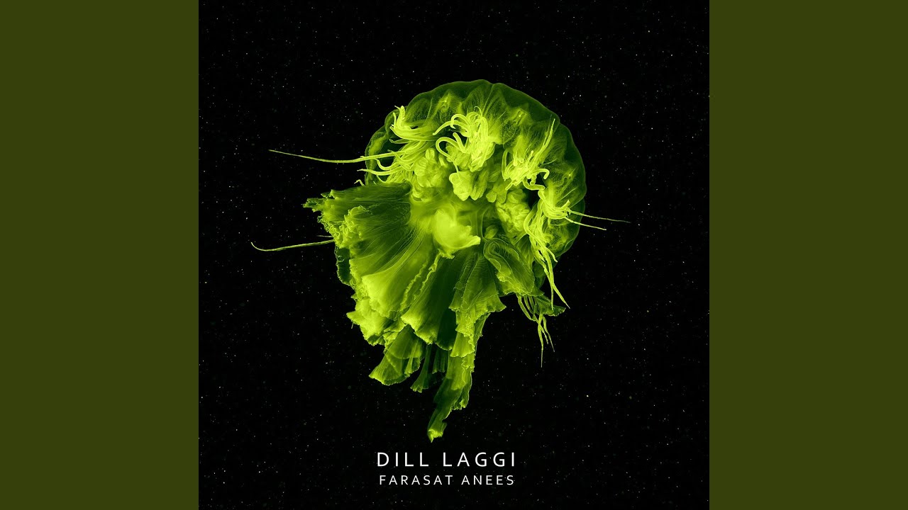 Dill Laggi