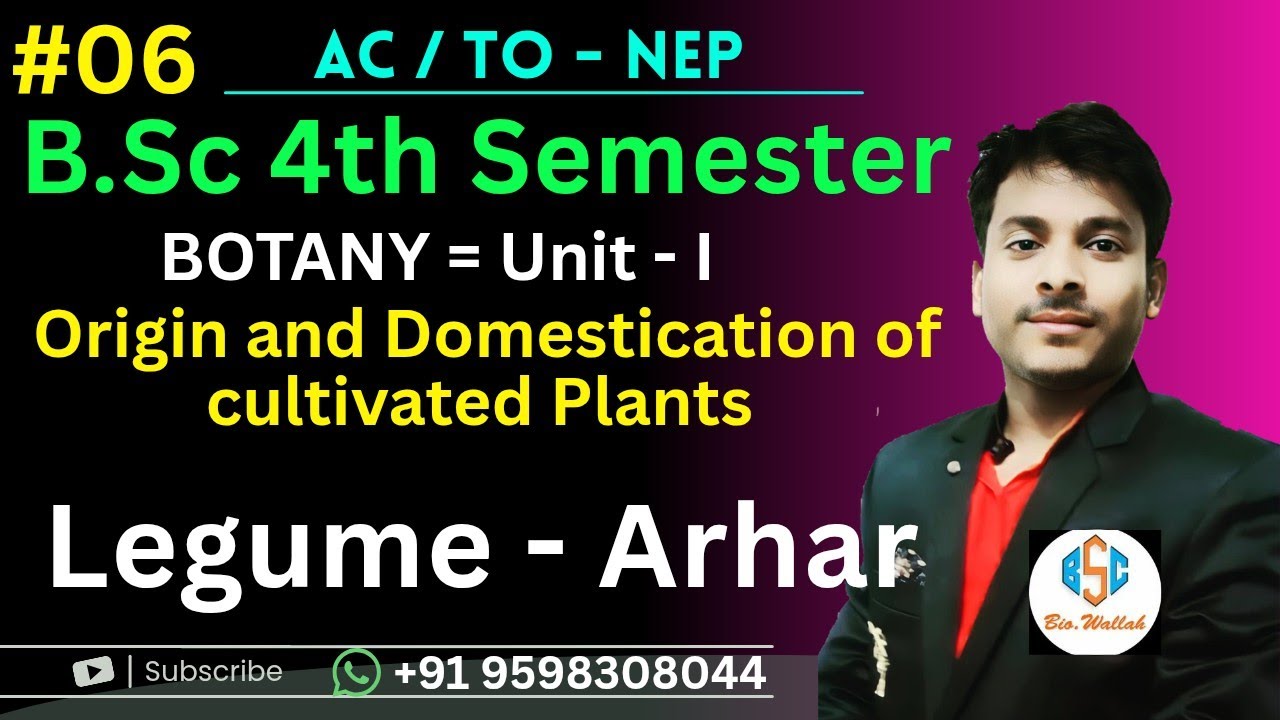 Origin and Domestication of Cultivated Plant| Domestication Cultivation and Use of Legumes-Arhar |  