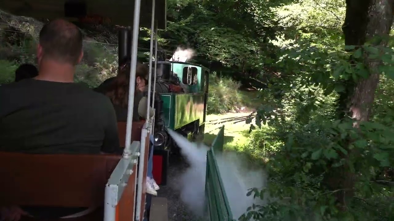 A Narrow Gauge Steam Railway in Lorraine, dep. de la Moselle (magnificent steam locomotive from 1906