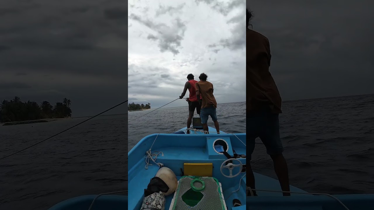 Fishing Time 😁❤️🐬 