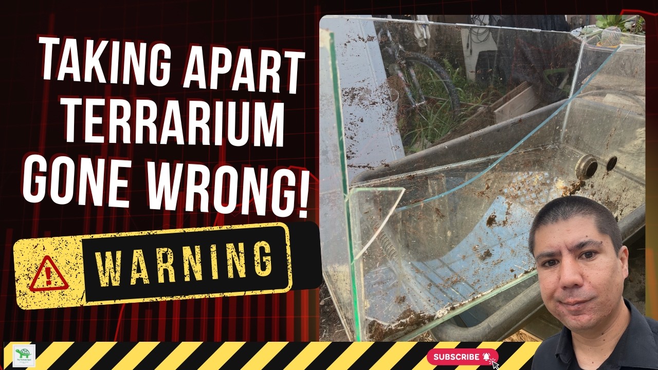 I Tried Taking Apart My Terrarium… It Went VERY Wrong 😳 (Part 1)