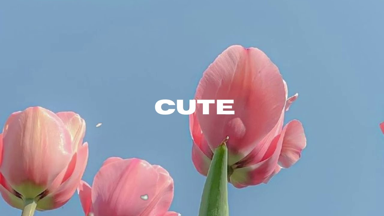 [FREE FOR PROFIT] Lauv X Jeremy Zucker Type Beat - 