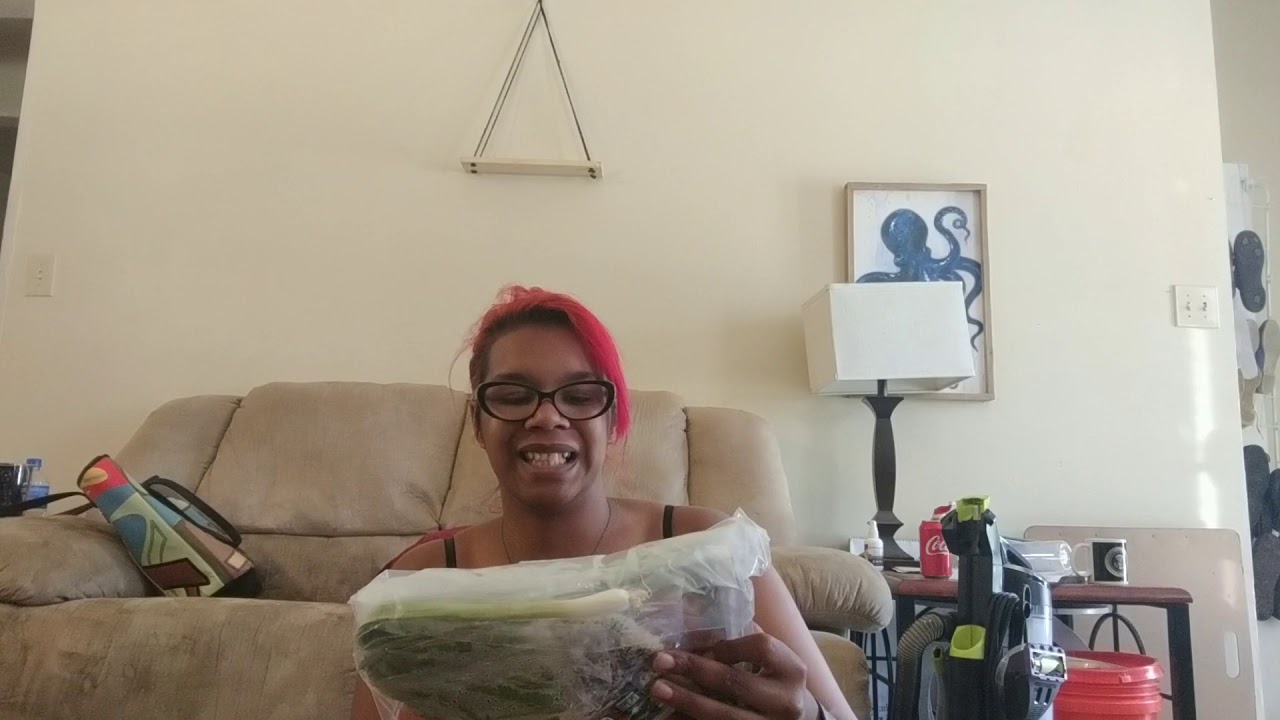 Purple Carrot unboxing