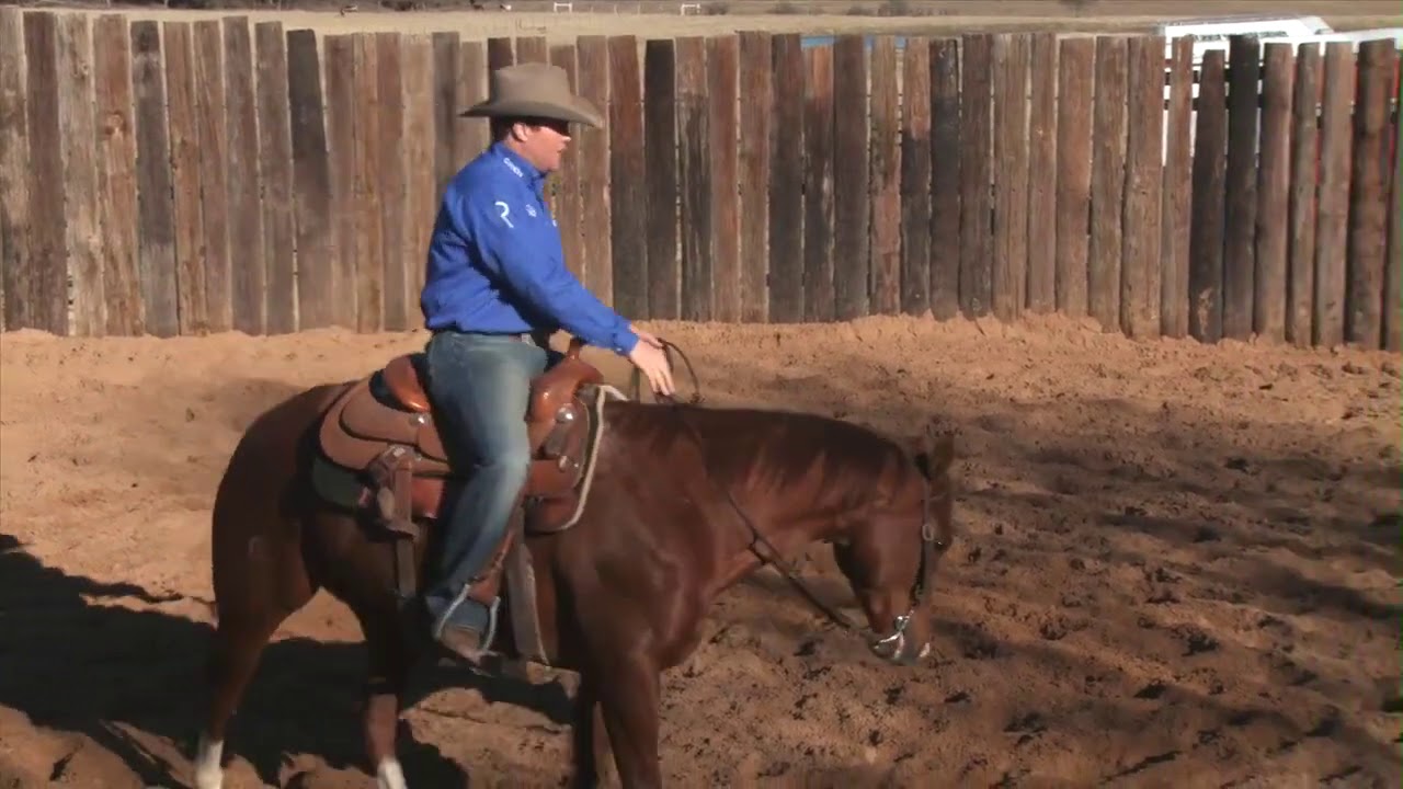 Casey Deary Bend And Flexion