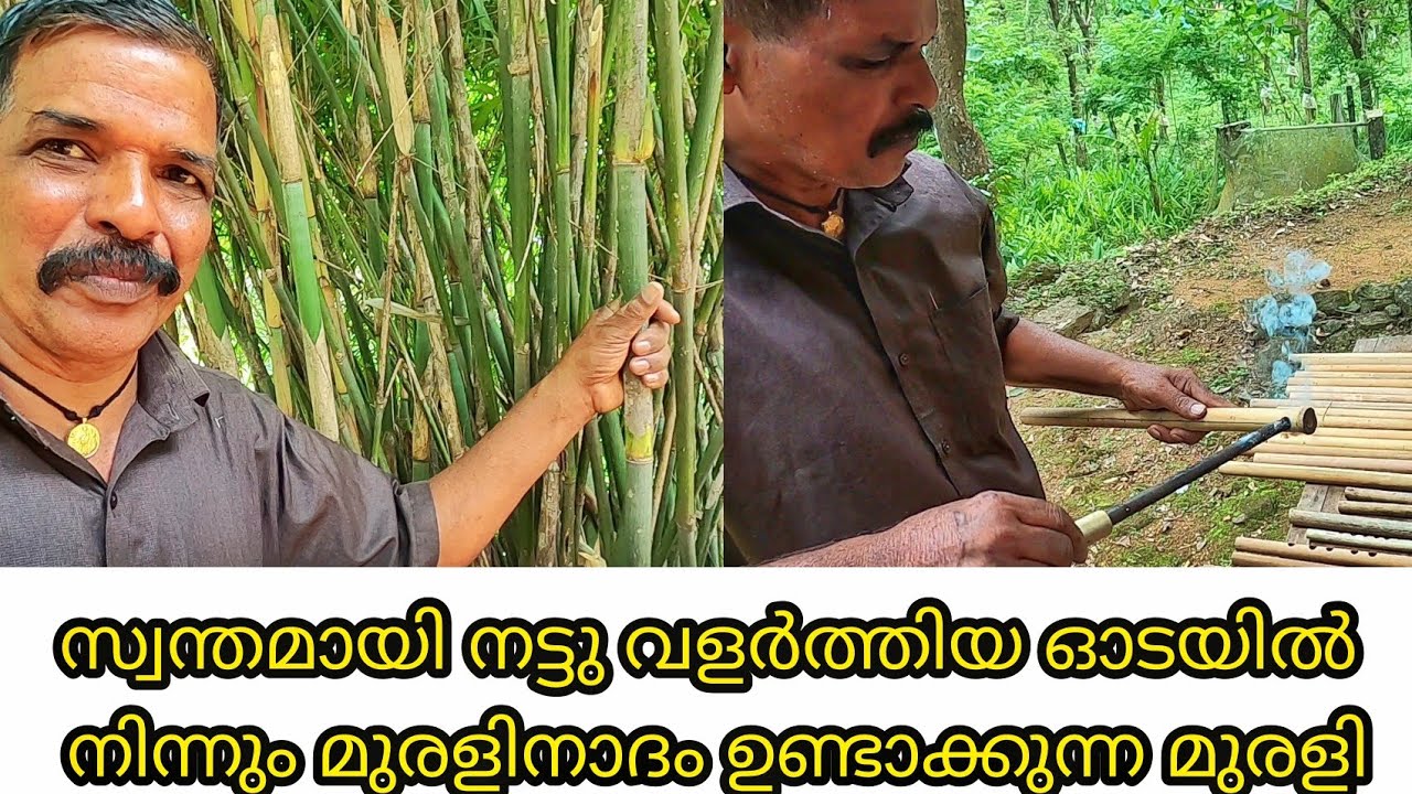 സ്വന്തമായി നട്ടു വളർത്തിയ ഓടയിൽ നിന്നും മുരളിനാദം ഉണ്ടാക്കുന്ന മുരളി 😃