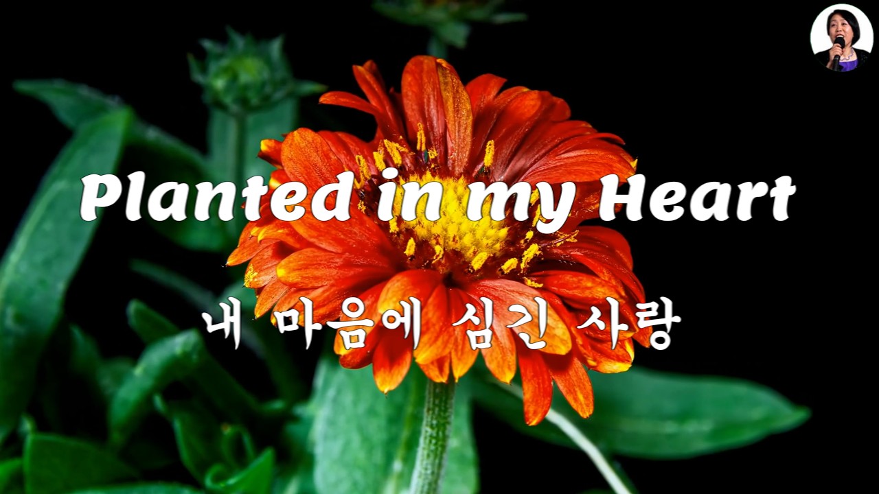 Planted in my heart, lyrics - 내 마음에 심긴 사랑, 영어 한글 자막 - New song - Lyrics/Vocal: Sonia