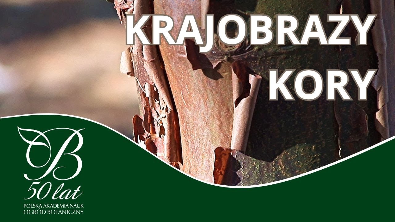 Krajobrazy kory ✿ PAN Ogród
