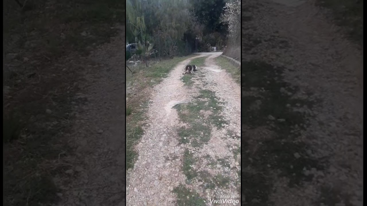 Bella di casa TEODONIO