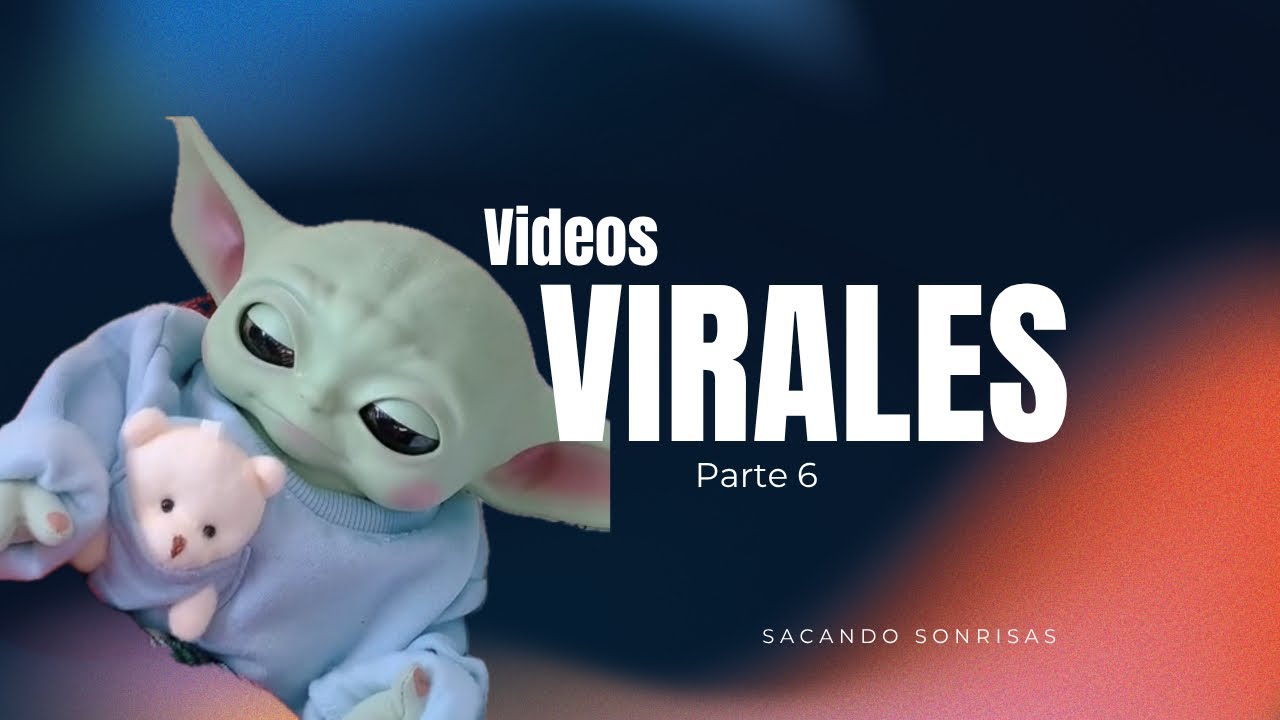 Ven y diviértete con las aventuras de Baby Bach ! 