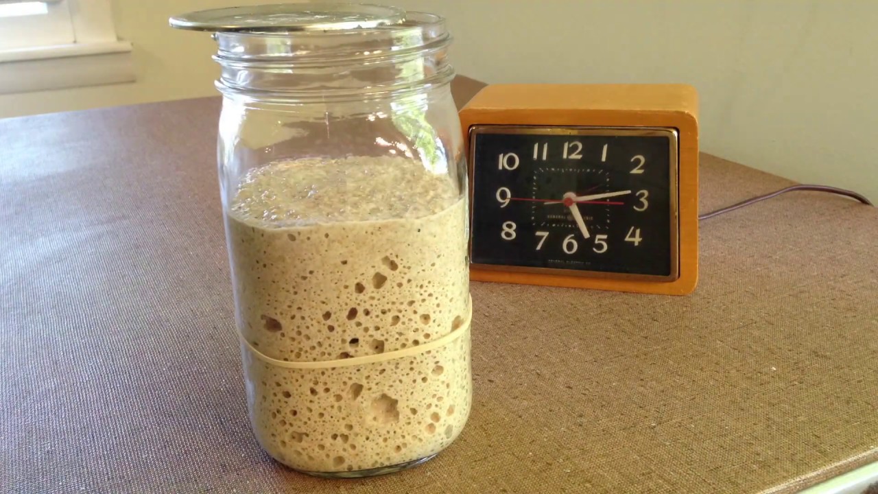 Sourdough Timelapse