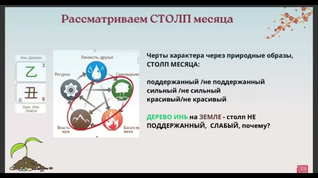 Пример анализа столпов Года, Месяца, Дня #бацзы #ЗояБубнова