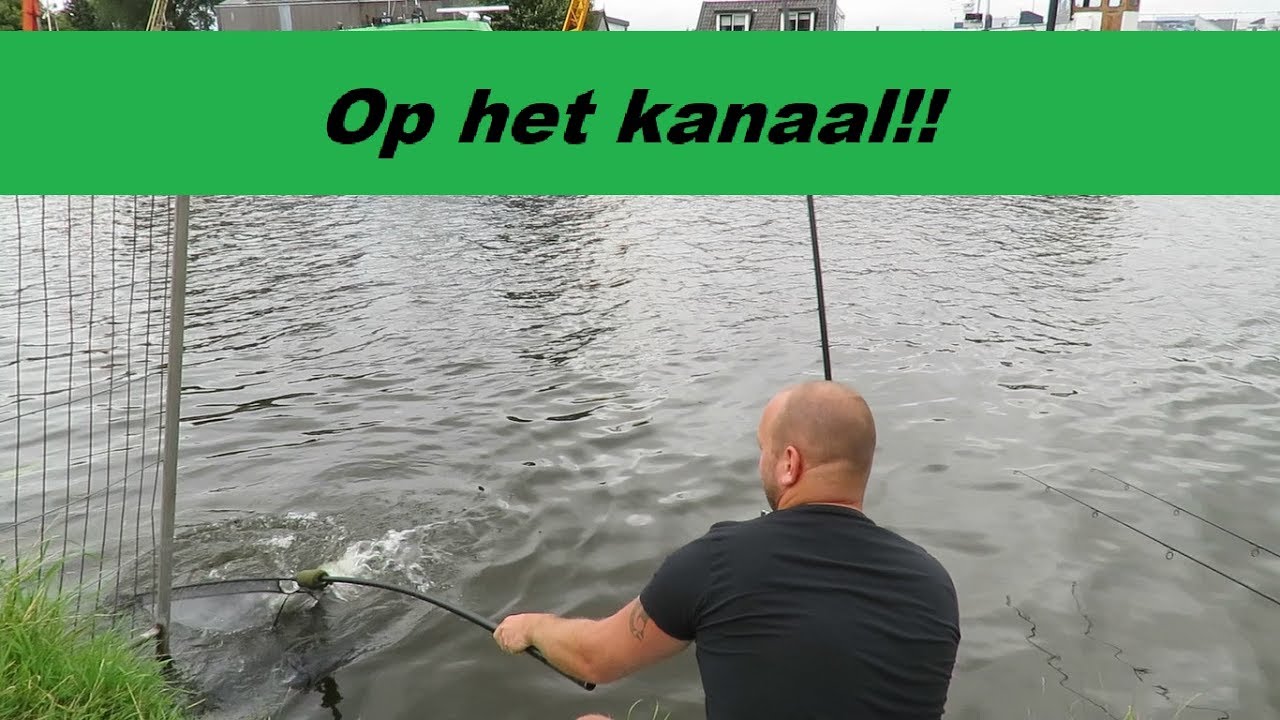 Karpervissen op het kanaal! Voorvoeren met partikels en boilies werkt!!